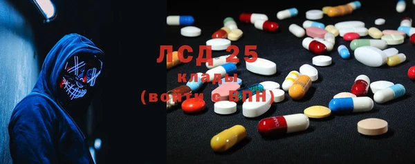 ГАЛЛЮЦИНОГЕННЫЕ ГРИБЫ Протвино