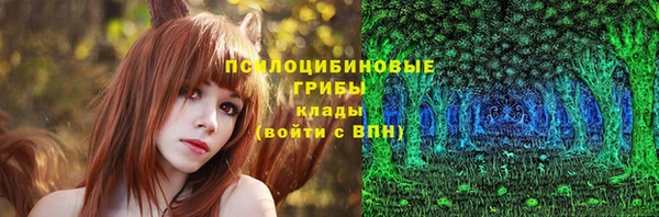 ГАЛЛЮЦИНОГЕННЫЕ ГРИБЫ Протвино