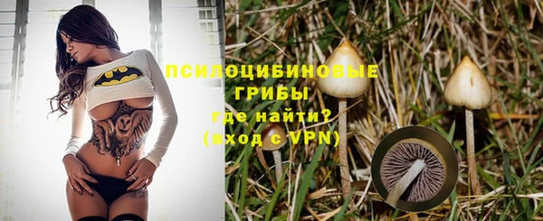 ALPHA PVP Беломорск