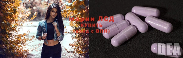 СК Пролетарск