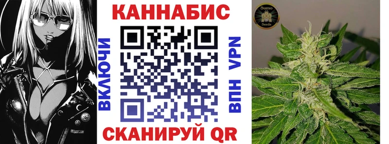 Бошки Шишки планчик Староминская